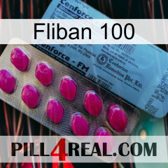 Fliban 100 35
